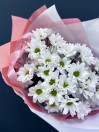 Букет из 5 ромашковых кустовых хризантем