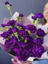 Букет из 19 фиолетовых гвоздик