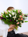 BUKET 402