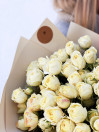 BUKET 259