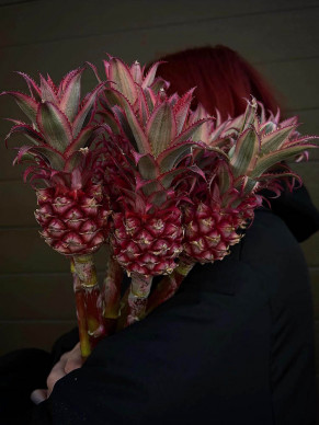 PINAPPLE