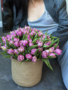 BUKET 685