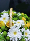 Корзина Солнечная