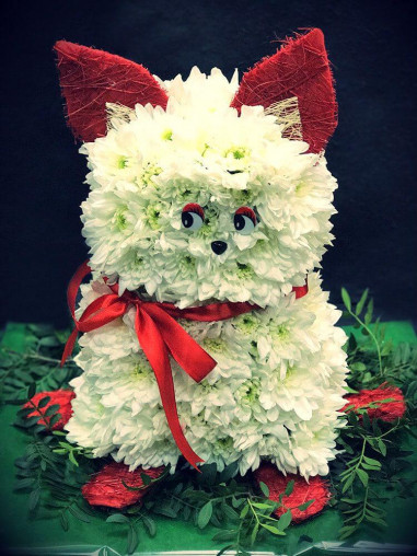 Кошка из живых цветов