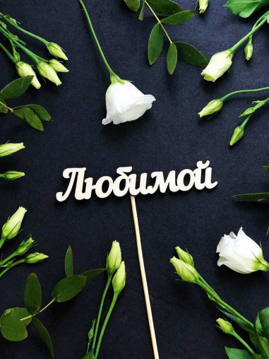 Вставка Любимой
