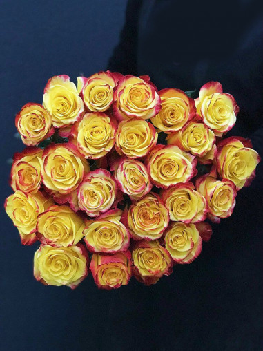 Роза High Yellow