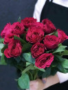 Роза садовая Darcey (пионовидная)