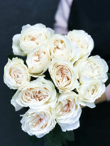 Роза садовая Purity (пионовидная)