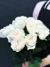 Роза садовая Purity (пионовидная)